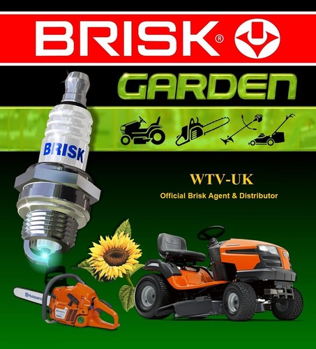 Brisk jr19 upgrade - brisk,