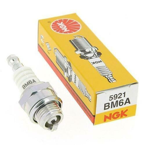 Ngk bm6a spark - spark, pit