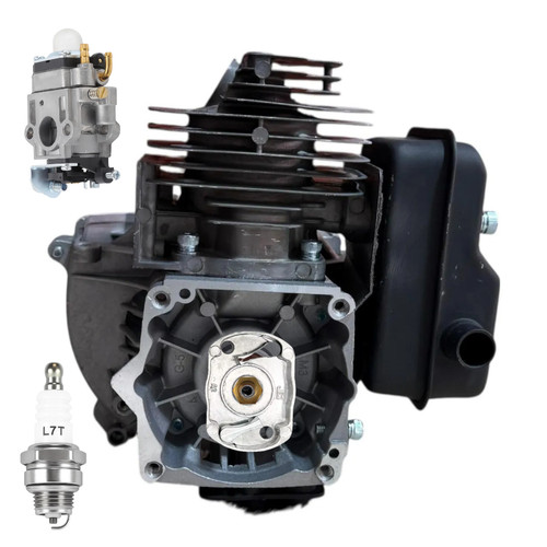 Shayn 52cc engine - 52cc,
